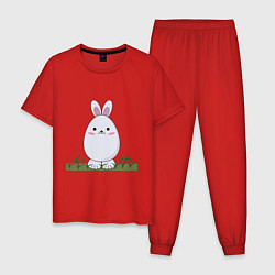 Пижама хлопковая мужская Круглый заяц стоит на траве, цвет: красный