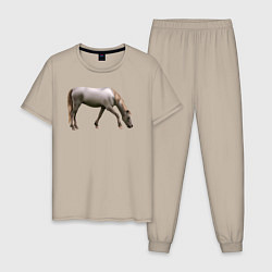 Пижама хлопковая мужская Креольская лошадь, цвет: миндальный