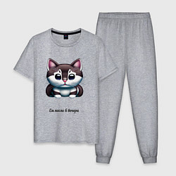 Пижама хлопковая мужская Толстый котик ест после 6, цвет: меланж