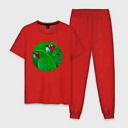 Пижама хлопковая мужская Два зелёных попугая, цвет: красный