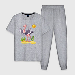 Пижама хлопковая мужская Солнечный страус, цвет: меланж