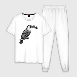 Мужская пижама Тукан на жердочке