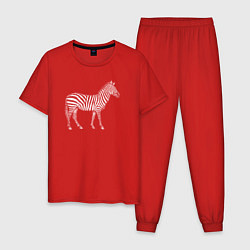 Пижама хлопковая мужская Гравюра зебра в профиль, цвет: красный