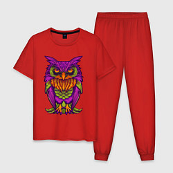 Пижама хлопковая мужская Purple owl, цвет: красный