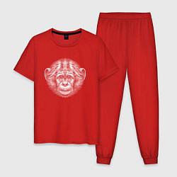 Пижама хлопковая мужская Морда шимпанзенка, цвет: красный