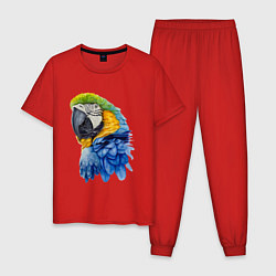 Пижама хлопковая мужская Сине-золотой попугай ара, цвет: красный