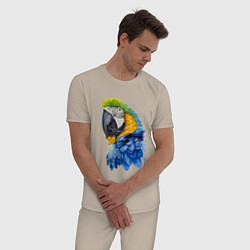 Пижама хлопковая мужская Сине-золотой попугай ара, цвет: миндальный — фото 2