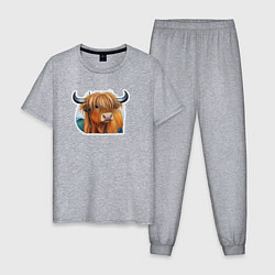 Пижама хлопковая мужская Шотландский волосатый бык, цвет: меланж