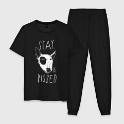 Пижама хлопковая мужская Stay dog pissed, цвет: черный