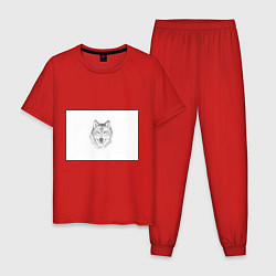Пижама хлопковая мужская Нарисованный волк зубами щёлк, цвет: красный