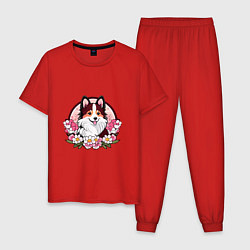 Пижама хлопковая мужская Колли среди цветов сакуры, цвет: красный