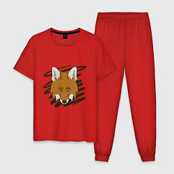 Пижама хлопковая мужская Стилизованная морда лисы, цвет: красный