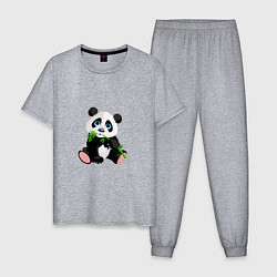 Пижама хлопковая мужская Красивый медведь панда, цвет: меланж