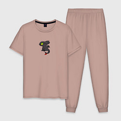 Мужская пижама Ночная фурия пара для дневной