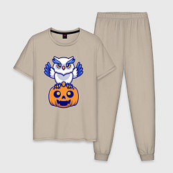 Мужская пижама Halloween owl