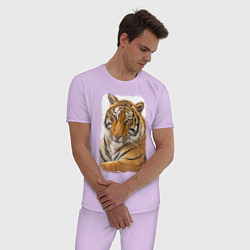 Пижама хлопковая мужская Tiger: retro style цвета лаванда — фото 2