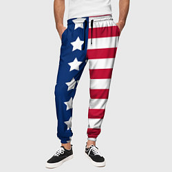 Брюки на резинке мужские USA Flag цвета 3D-принт — фото 2