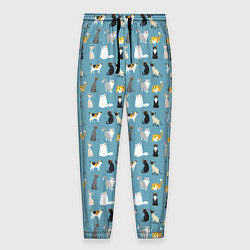 Брюки на резинке мужские Породы кошек, цвет: 3D-принт
