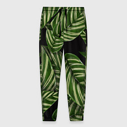Мужские брюки Тропические большие листья