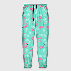 Мужские брюки Flamingo