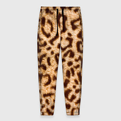Мужские брюки Леопард