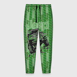 Мужские брюки Jeep