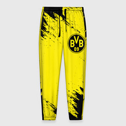 Мужские брюки BORUSSIA