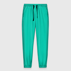 Мужские брюки Бискайский зеленый без рисунка