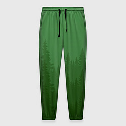 Мужские брюки Зеленый Лес