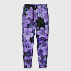 Мужские брюки Фиолетовый цвет весны