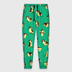 Брюки на резинке мужские Цыплята, цвет: 3D-принт