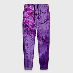 Брюки на резинке мужские Фиолетовый китай, цвет: 3D-принт