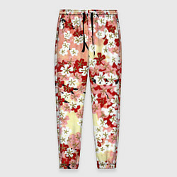 Мужские брюки Цветущая весна