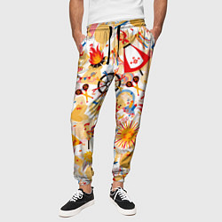 Брюки на резинке мужские Масленица Паттерн, цвет: 3D-принт — фото 2