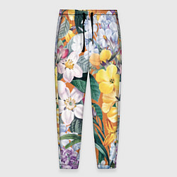 Мужские брюки Цветы Красочный Лакфиоль
