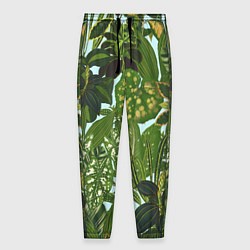 Мужские брюки Зеленые Тропические Растения