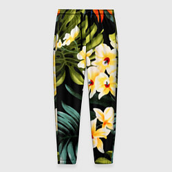 Брюки на резинке мужские Vanguard floral composition Summer, цвет: 3D-принт