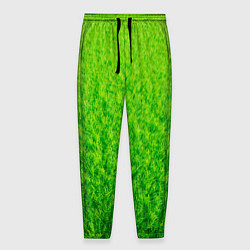 Мужские брюки Трава зеленая