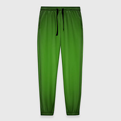 Мужские брюки Зеленый с затемняющей виньеткой