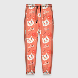 Мужские брюки Паттерн кот на персиковом фоне