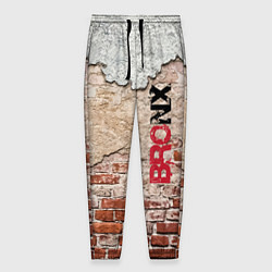 Мужские брюки Старая кирпичная стена - Бронкс