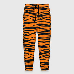 Мужские брюки Тигра