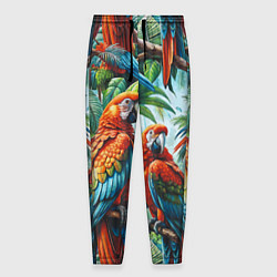 Мужские брюки Попугаи Ара - тропики джунгли