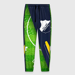 Брюки на резинке мужские Hoffenheim football field, цвет: 3D-принт