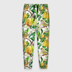 Брюки на резинке мужские Груша и птичка зеленушка, цвет: 3D-принт