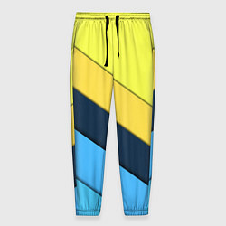 Брюки на резинке мужские Геометрия полосы спорт, цвет: 3D-принт