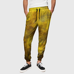 Брюки на резинке мужские Золотая ржавая текстура, цвет: 3D-принт — фото 2