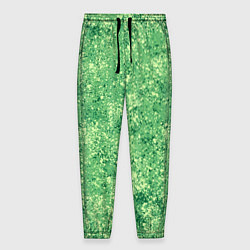 Мужские брюки Фисташковый текстура напыление