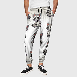 Брюки на резинке мужские Много енотов, цвет: 3D-принт — фото 2