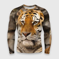 Рашгард мужской Мудрый тигр, цвет: 3D-принт